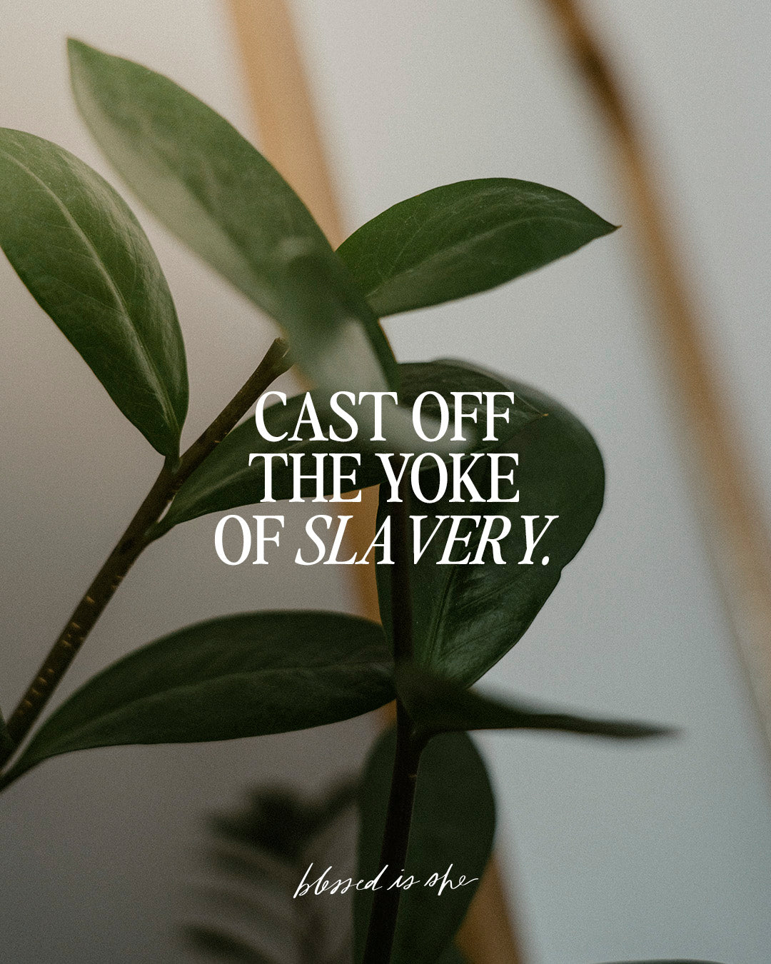 Cast Off the Yoke