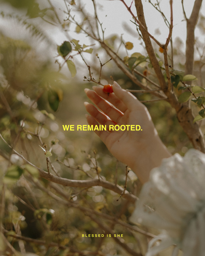 Leaves Fall, Faith Stands