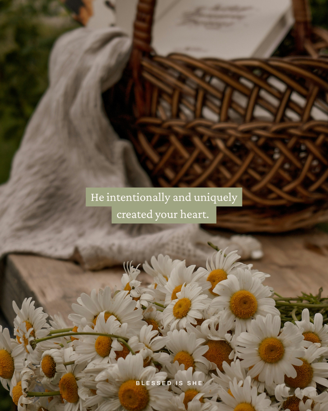 Created to Love, Not Compare