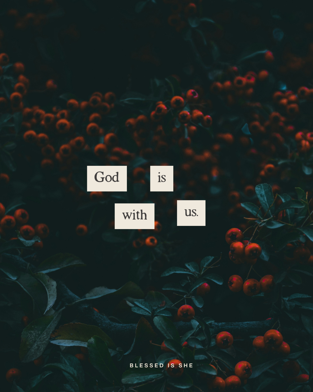 Come and Shine on Those Who Dwell in Darkness and in the Shadow of Death