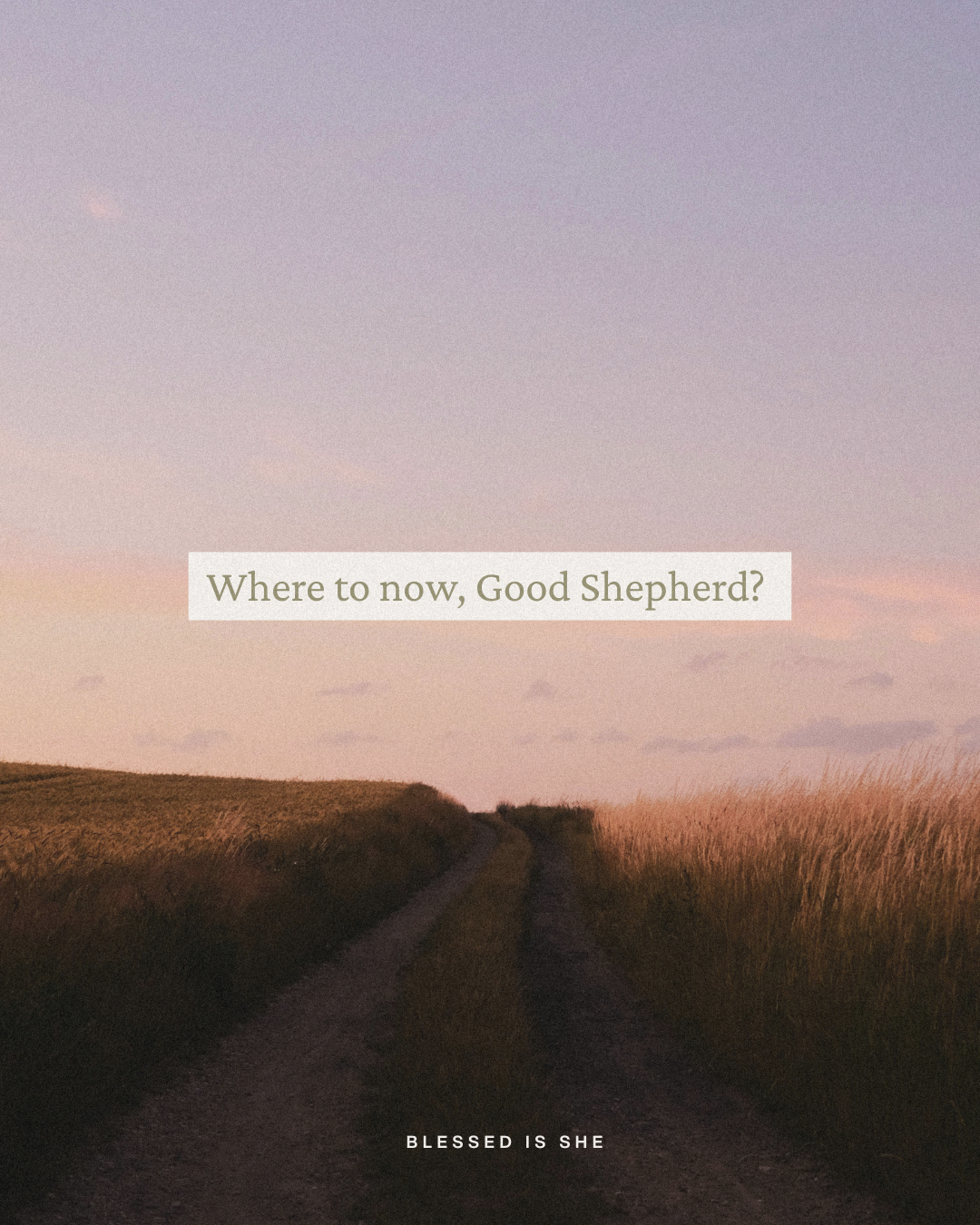 More Than Your Average Shepherd