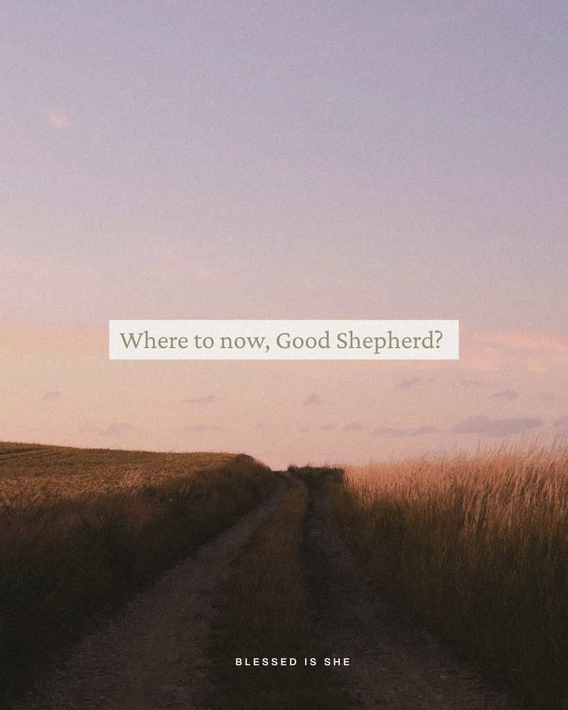 More Than Your Average Shepherd