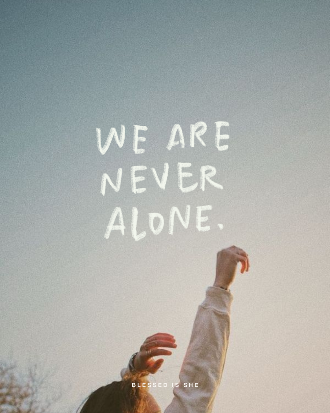 He Plants The Word in The Desert