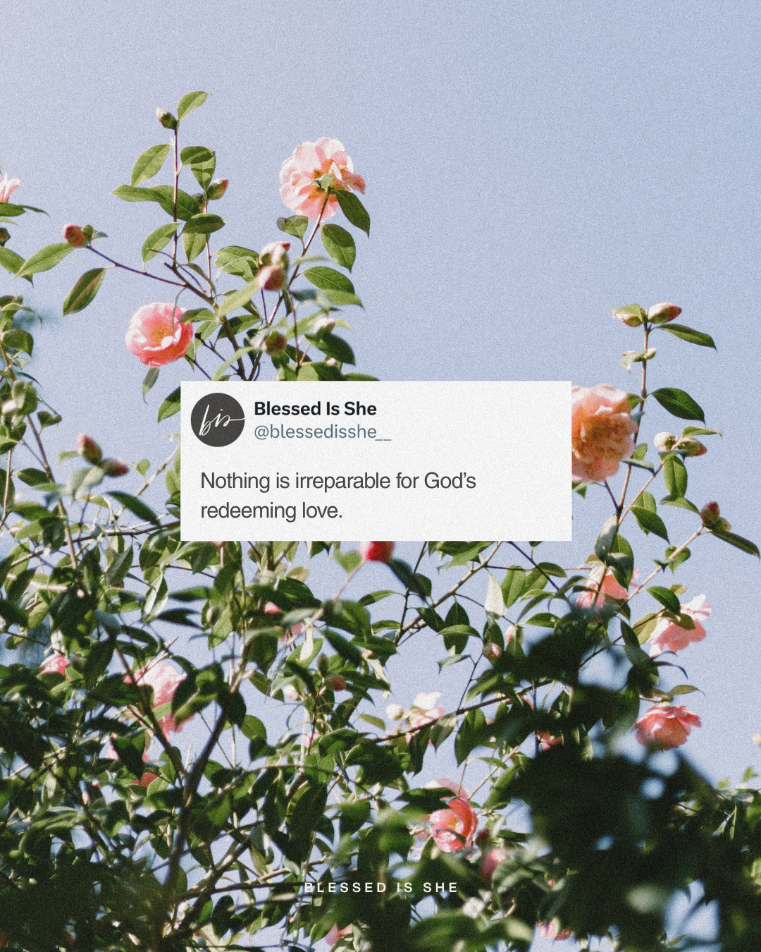 See the Instruction Manual for Setting Things Right