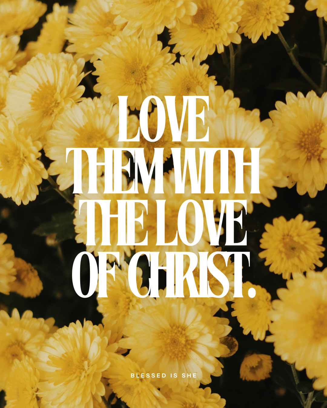 Matters of the Heart