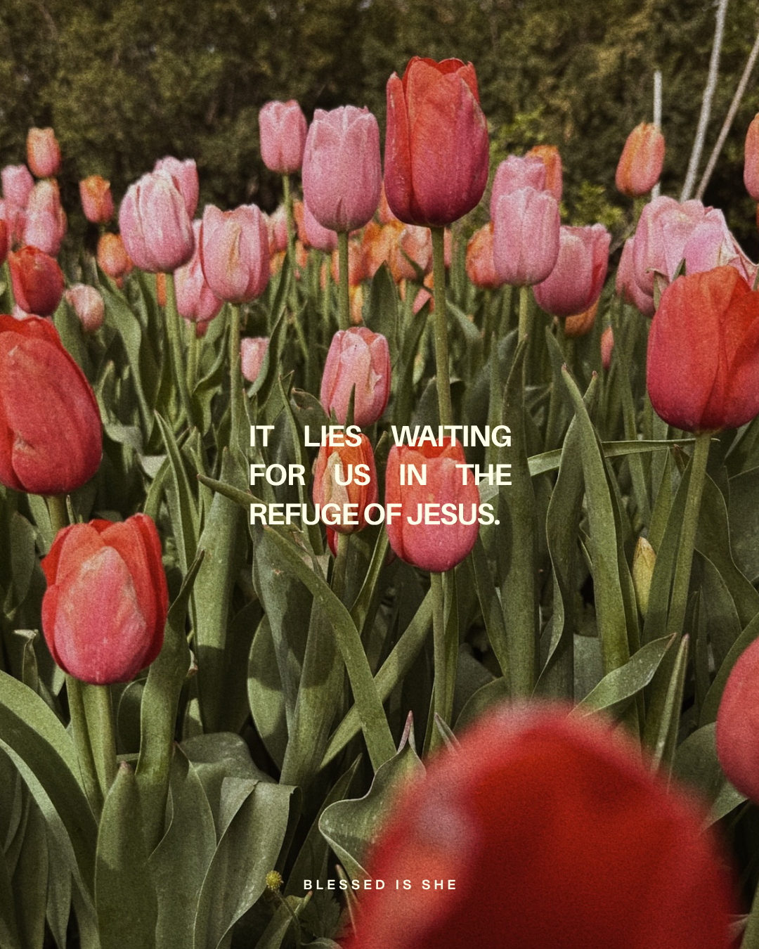 Drained Hearts + Remedies