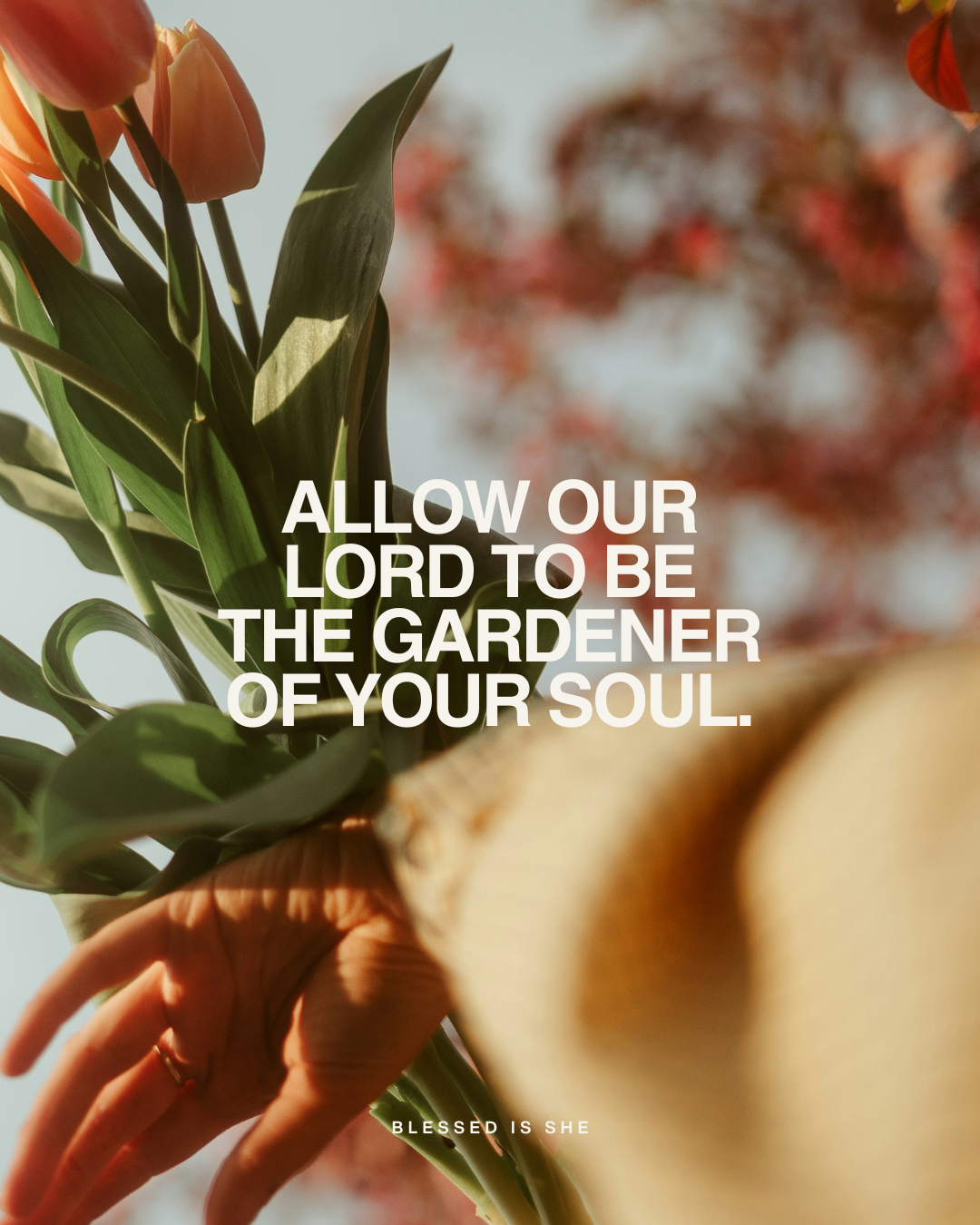 The Garden of My Heart