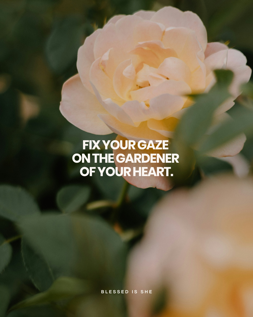 Standing Strong Like the Sunflowers