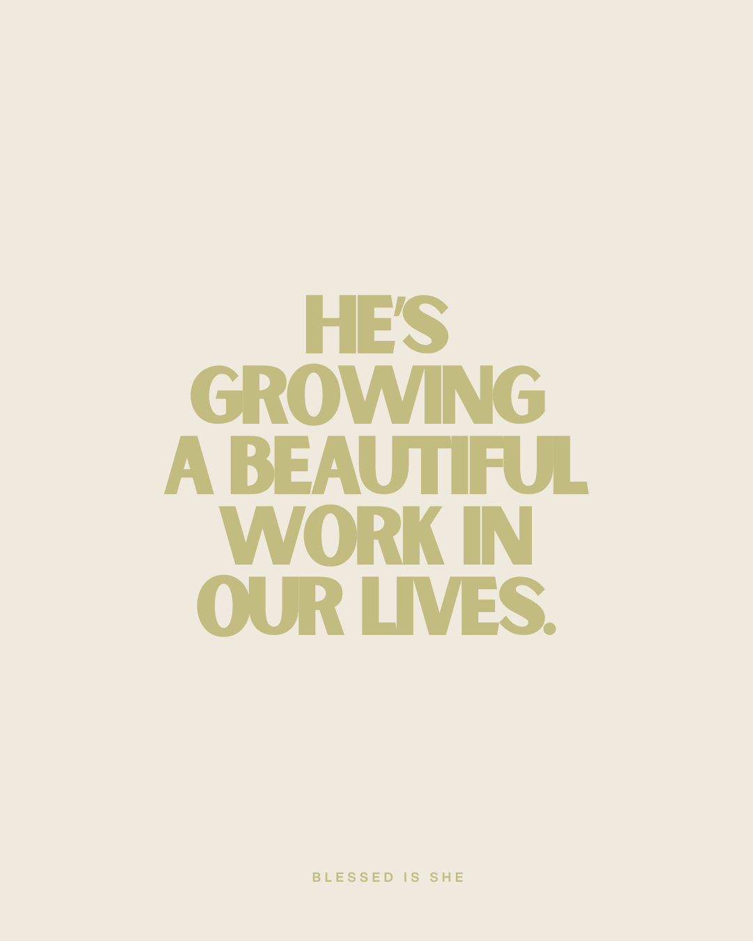 Wildflowers and the Word