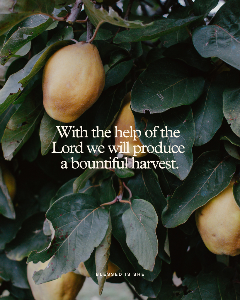 Get Ready for Sunday