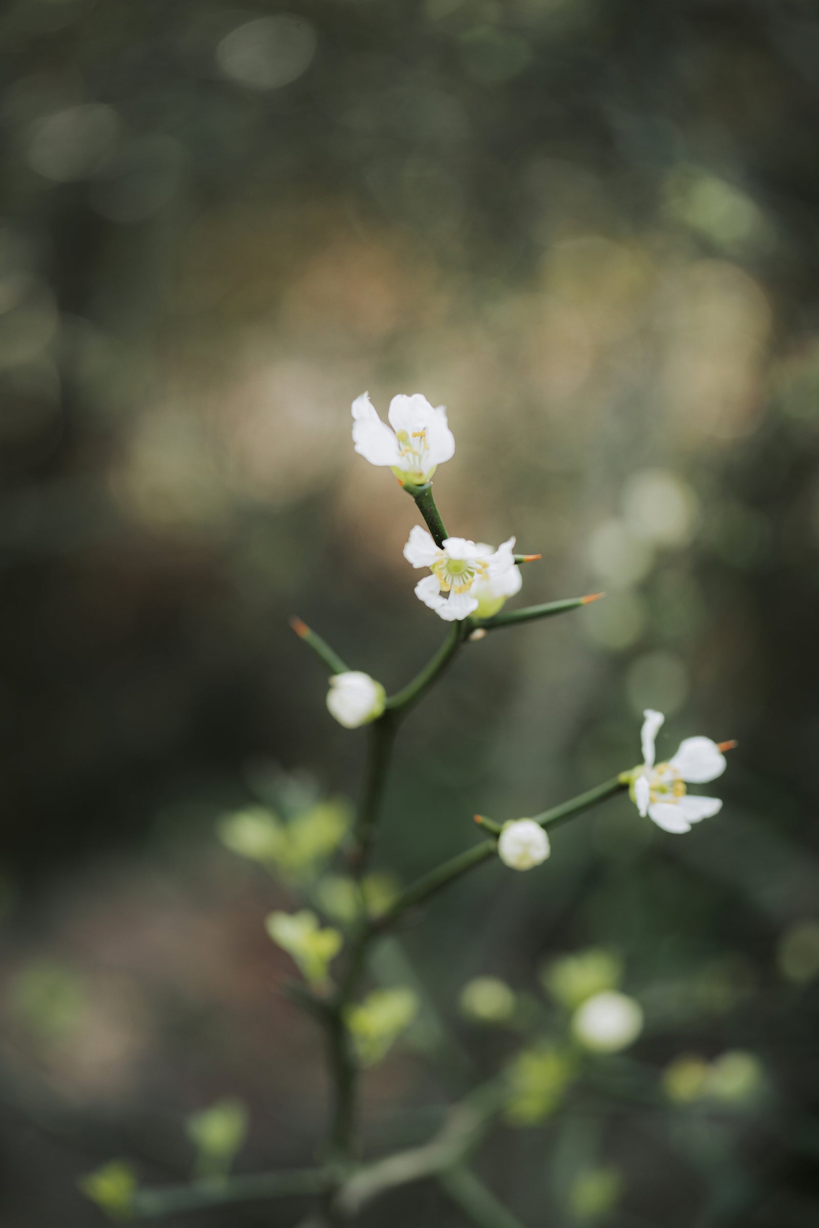 Consistent Ethic of Life: The Stubborn Work of Embodying God’s Word