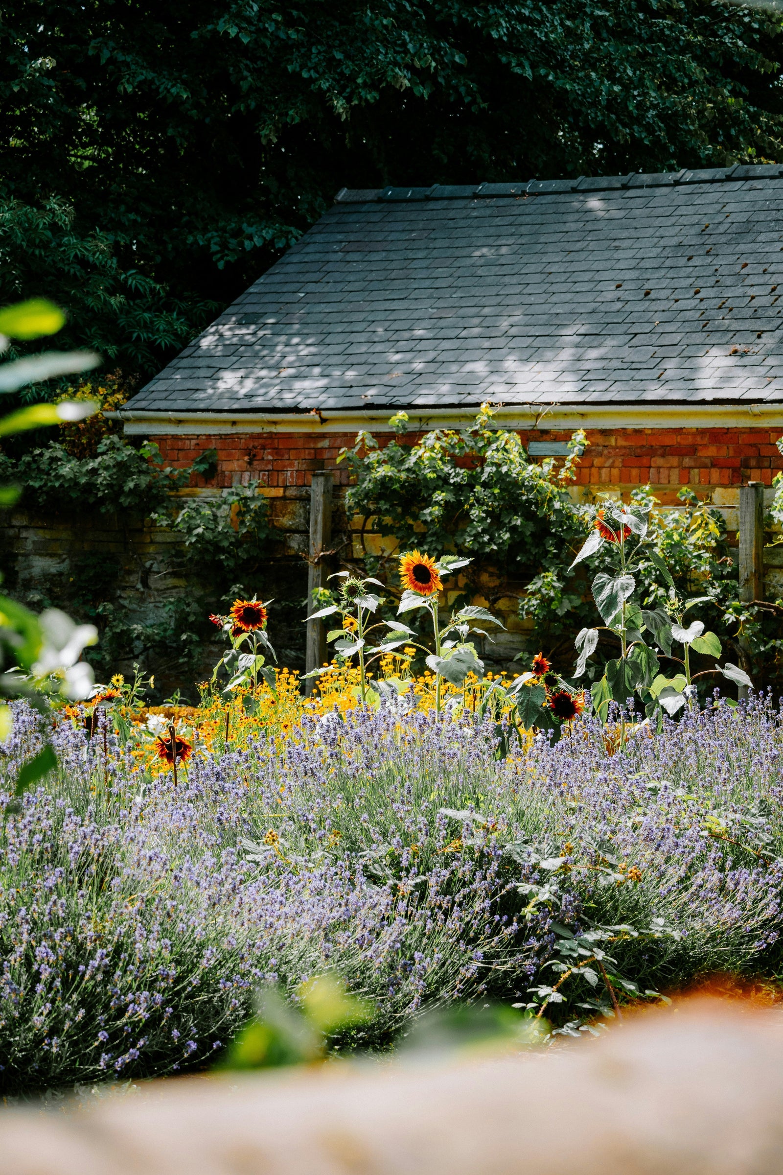 Cultivating the Garden of Our Souls