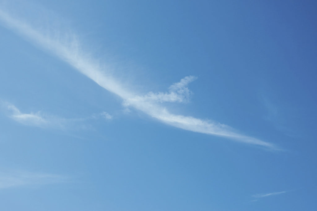 Dancing With the Holy Spirit