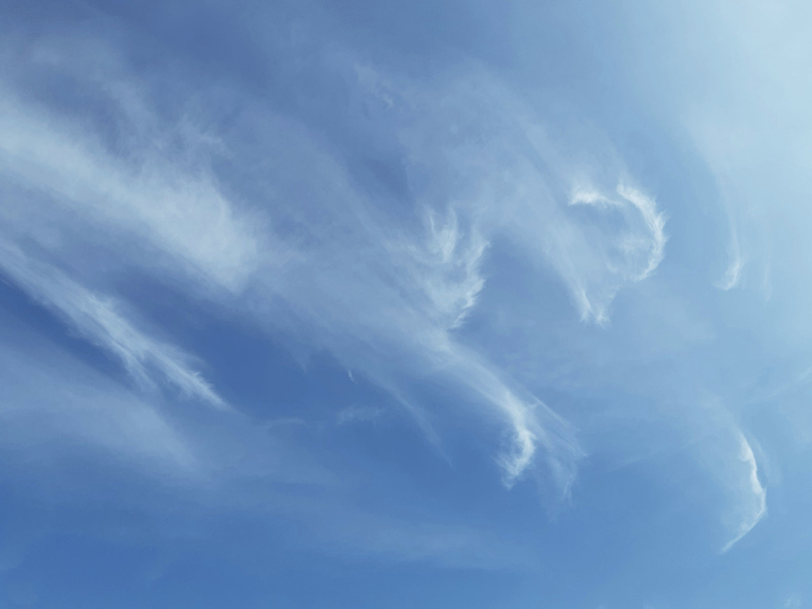 Seeking the Gifts of the Holy Spirit: A Daily Invitation