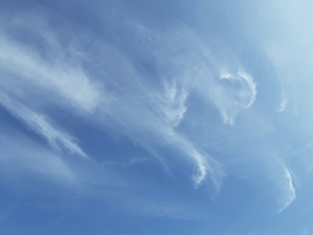 Seeking the Gifts of the Holy Spirit: A Daily Invitation