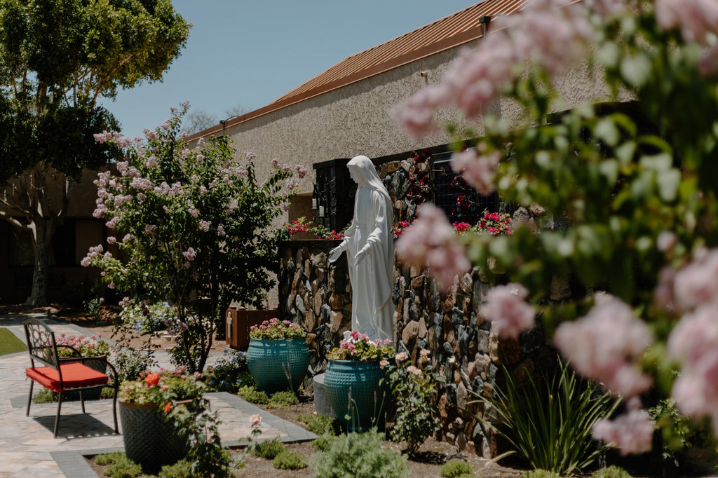 Three Gifts from Mary, Unwrapped During Advent