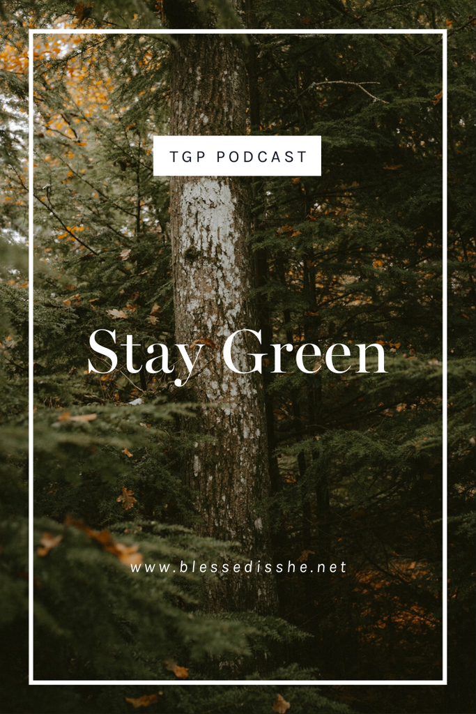 Stay Green // Blessed is She Podcast: The Gathering Place Episode 66