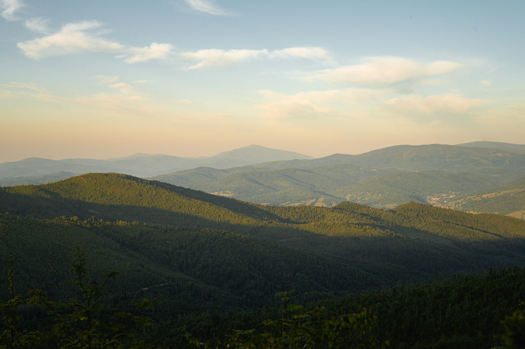 Saint Kateri’s Legacy: How Shame Does Not Have to Scar Us