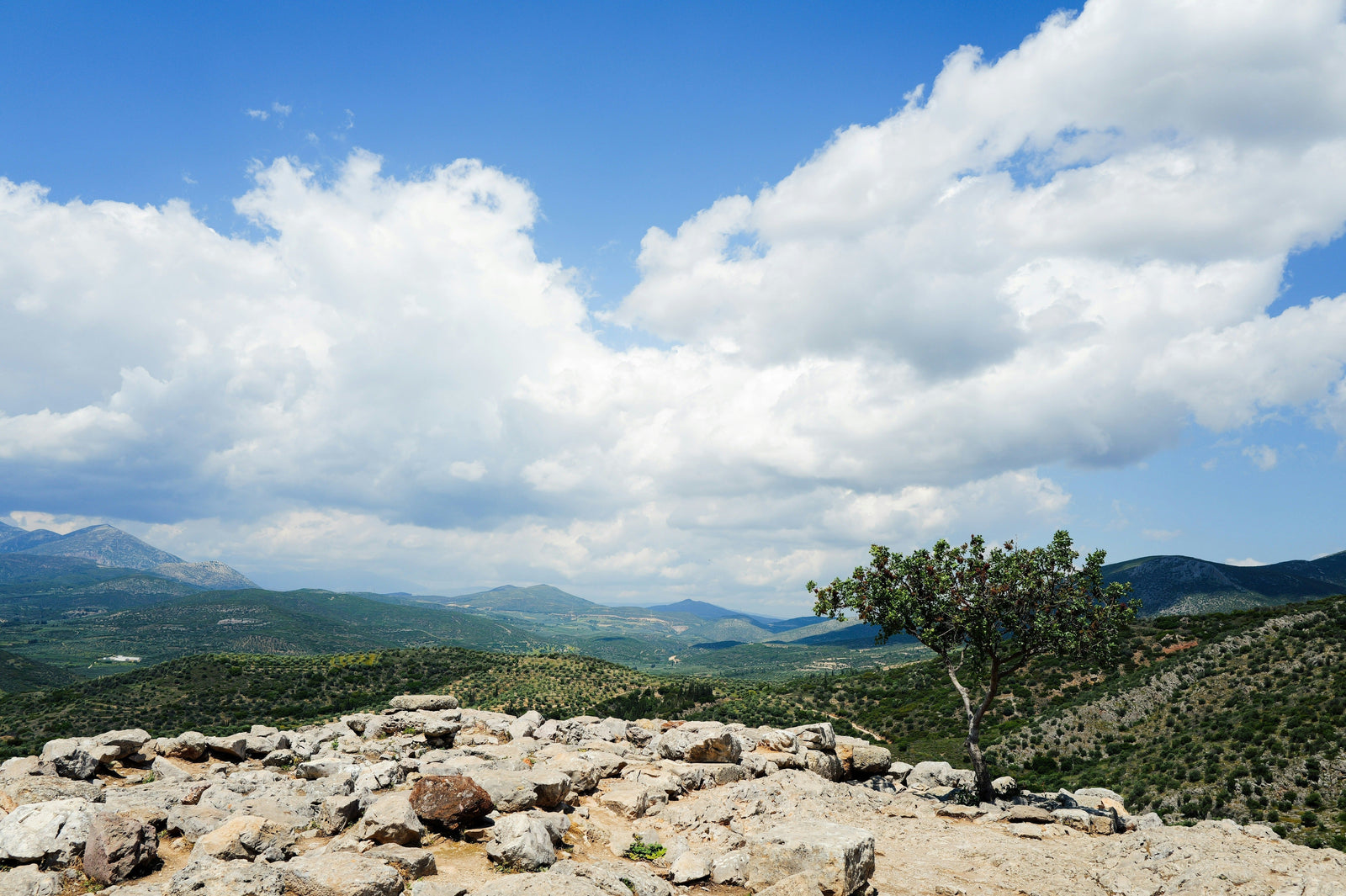 Our Lady of Mount Carmel and the Garden Within