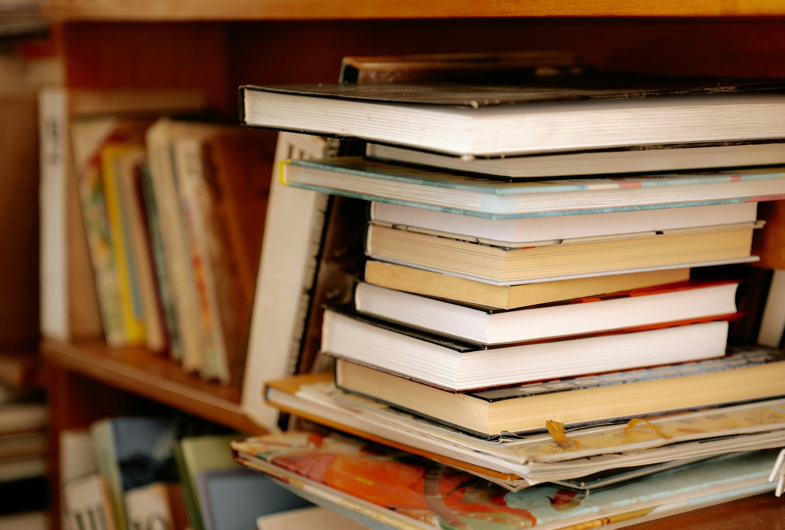 BIS Reads // St. Hildegard’s Garden