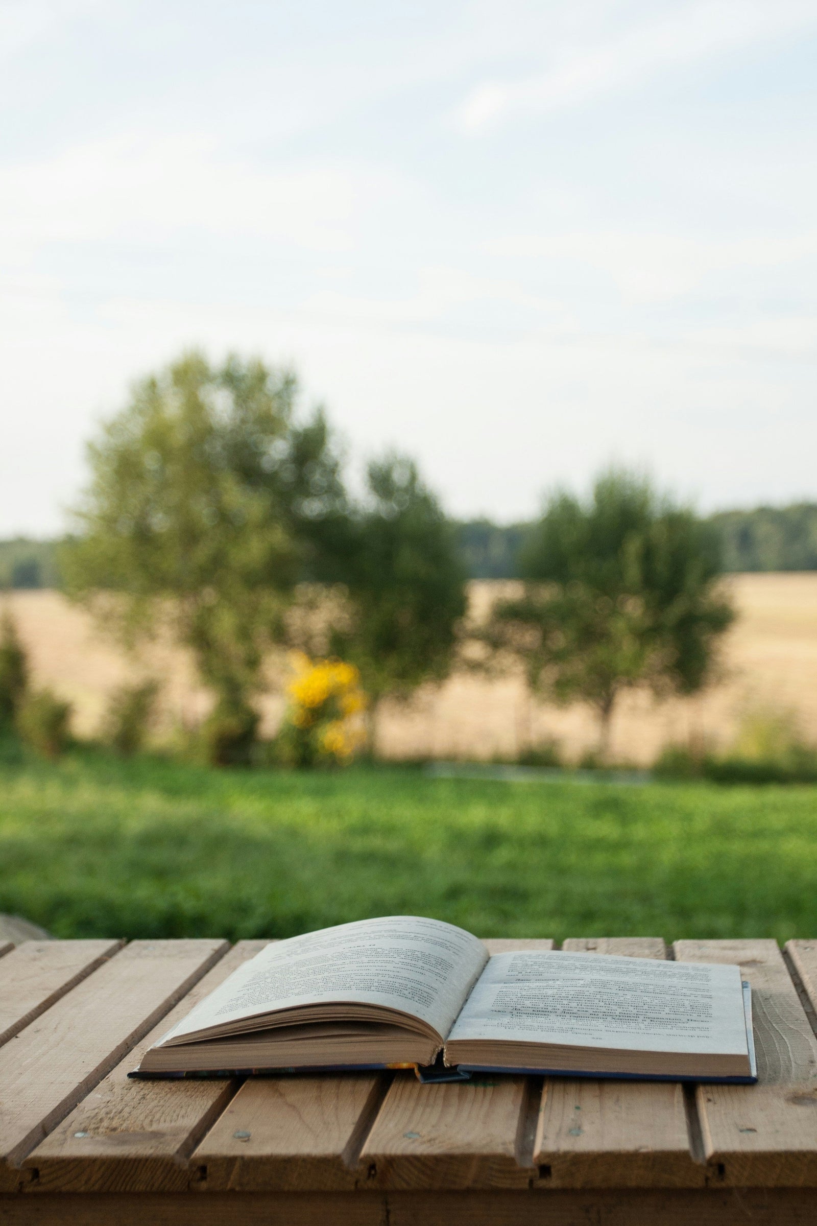 The Perfect Summer Book List