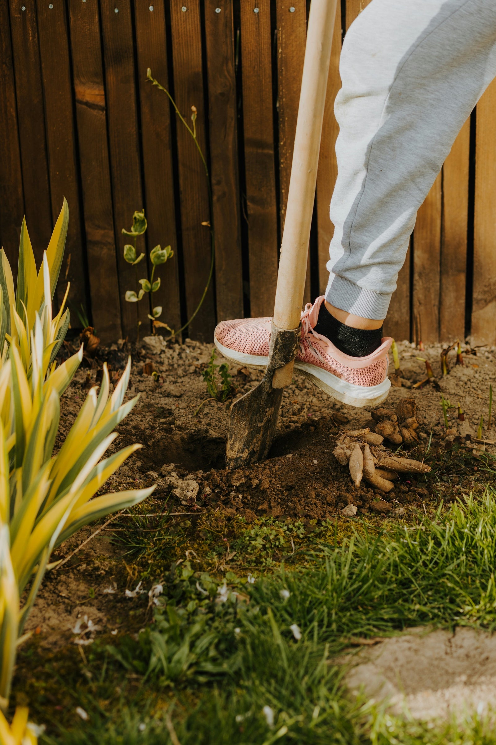 Fostering Gratitude Through Yardwork