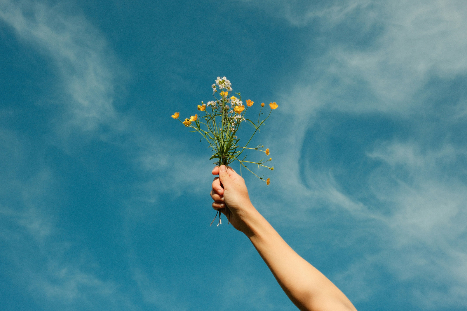 The Joyful Path to Holiness With Saint Philip Neri