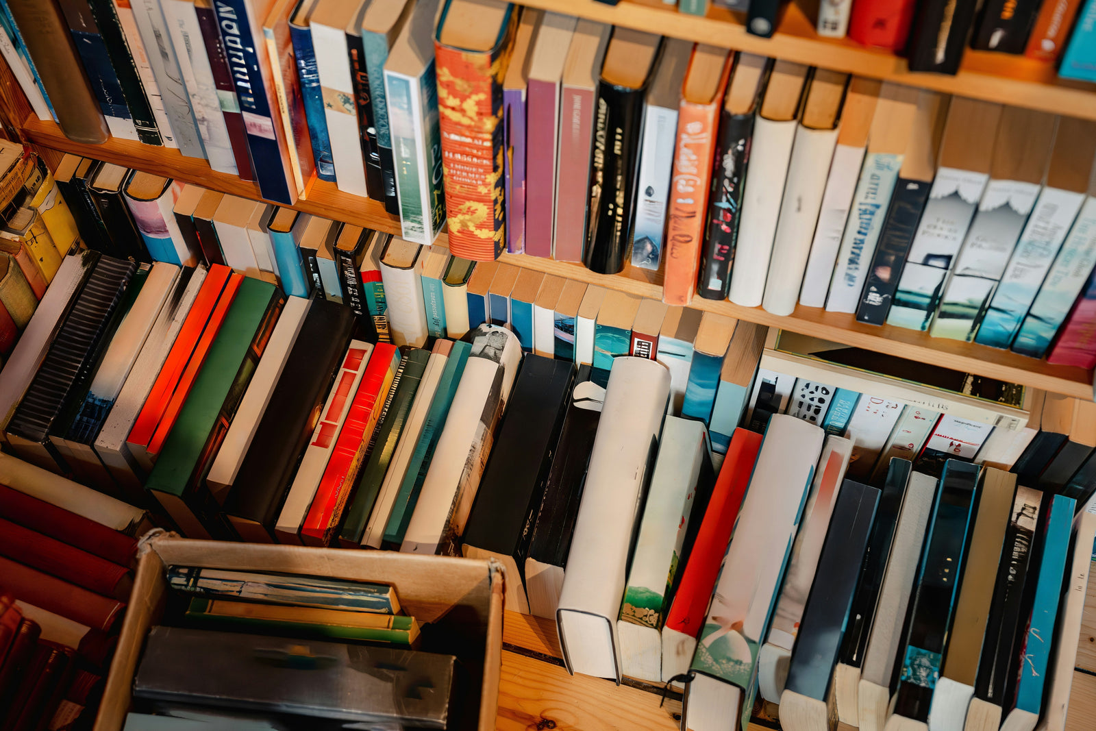 BIS Reads // The Eight Promises of God: Discovering Hope in the Beatitudes