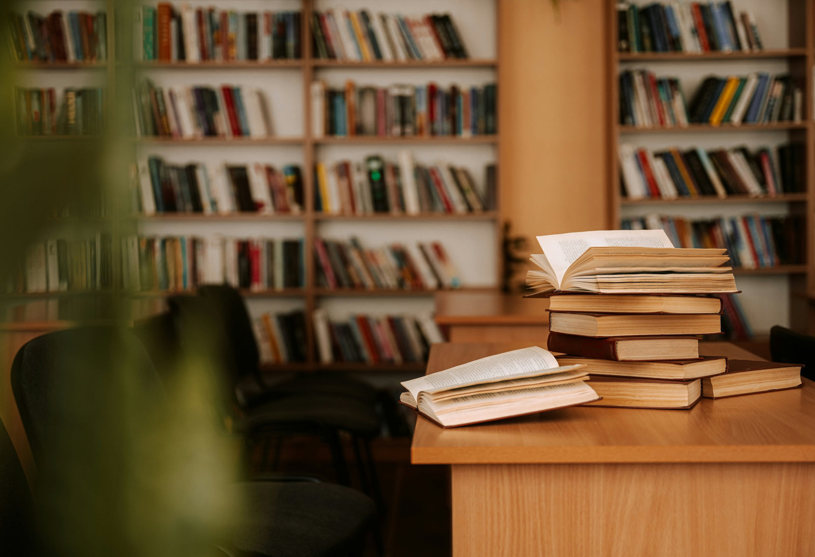 BIS Reads // Shaped by Stories