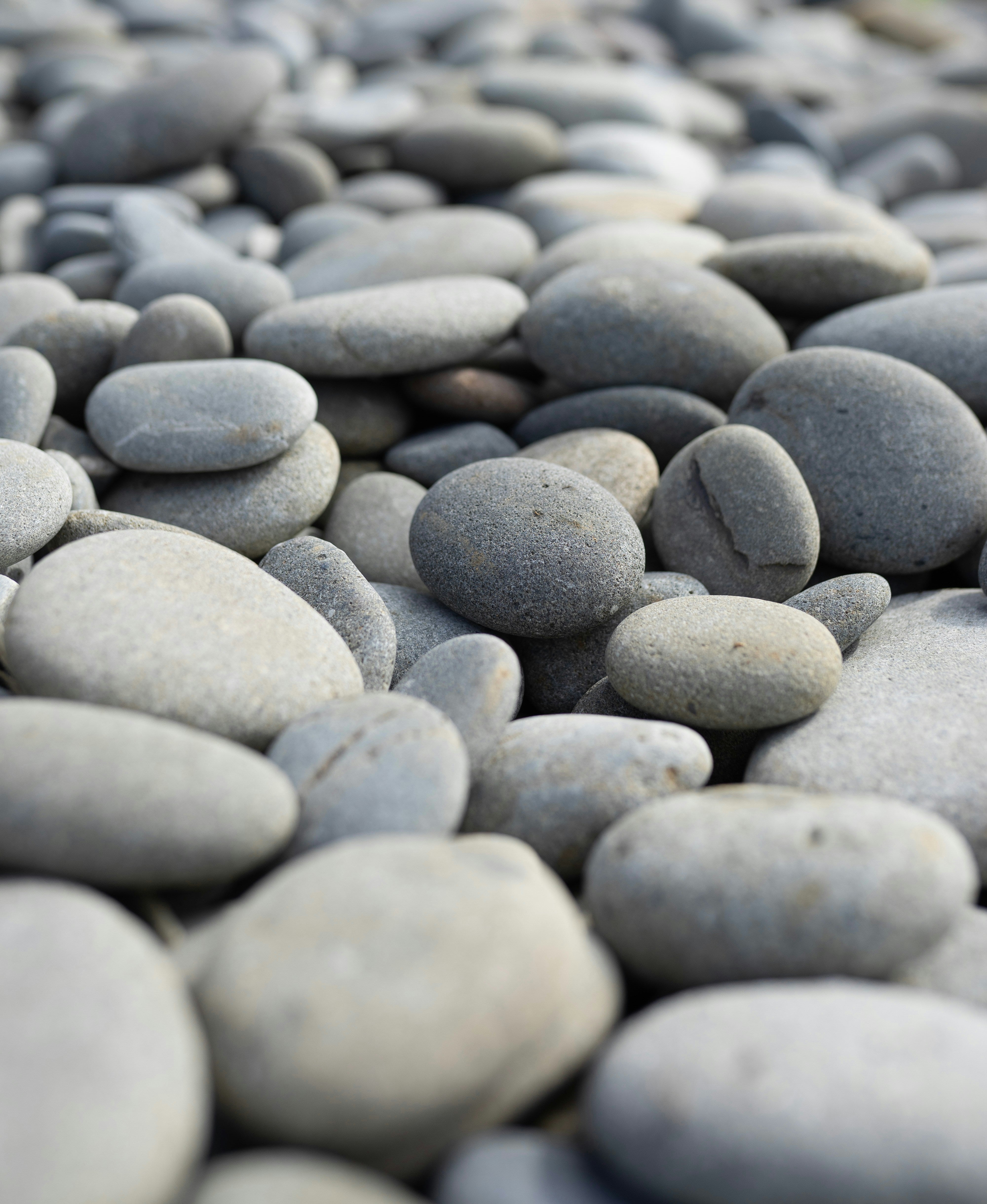 Pick Five Stones But You May Only Need One - Blessed Is She