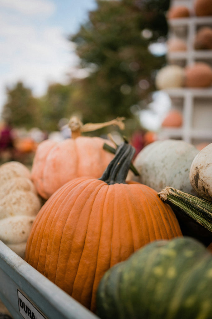 The Hollow in Halloween