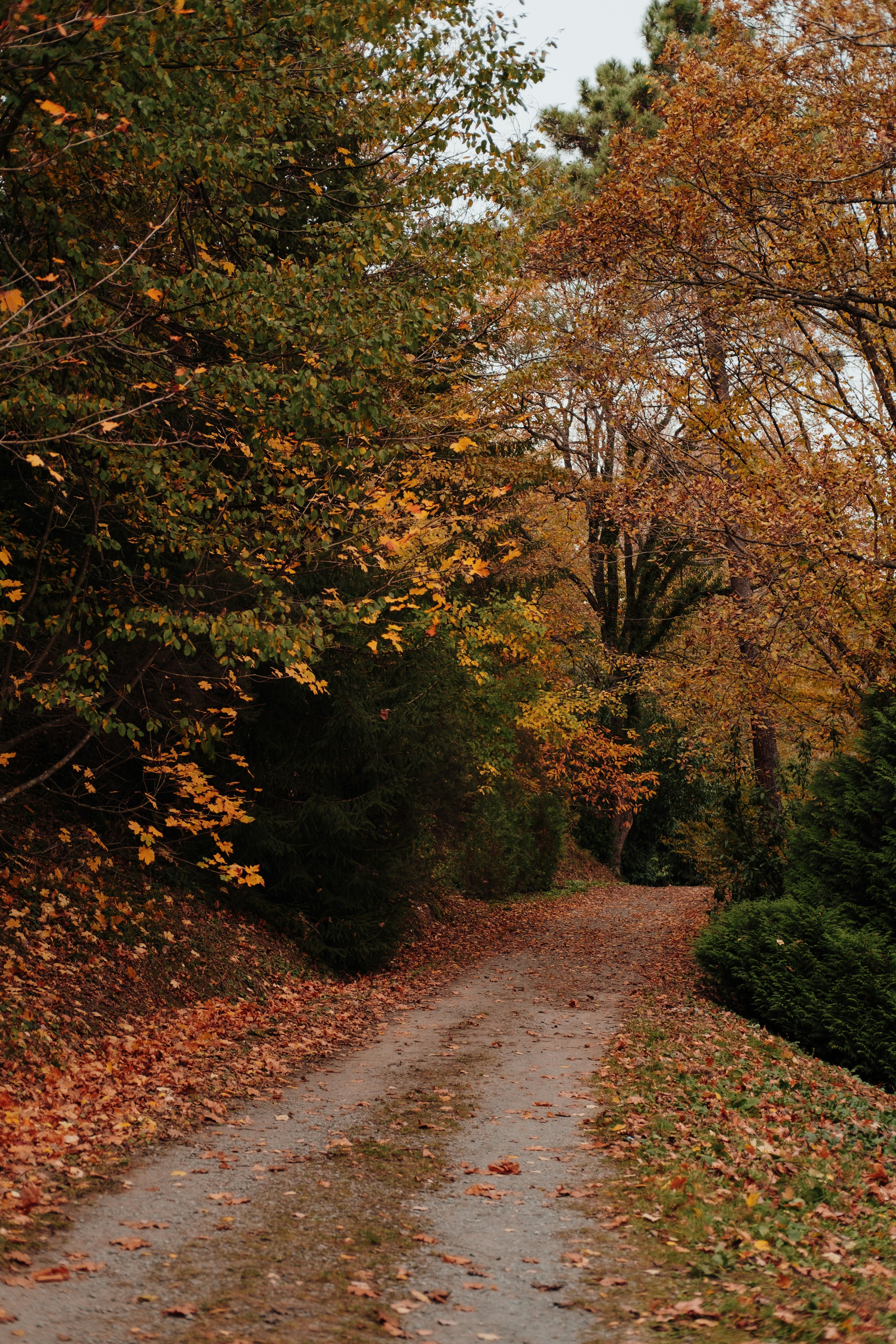 Be Still: Scripture Verses to Embrace Autumn Change - Blessed Is She