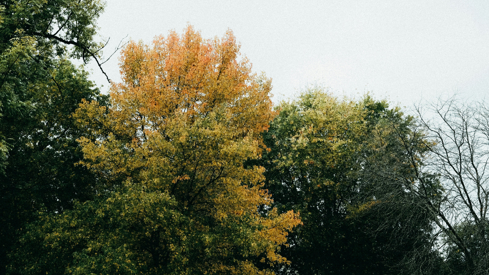 Freshly Sharpened Pencils: A Fall Reset