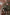 A Terrifying Treasure Hunt - Blessed Is She