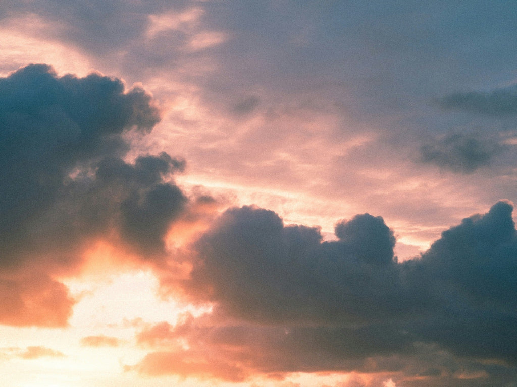 This One is for the Hopeless // Week 1 of Advent