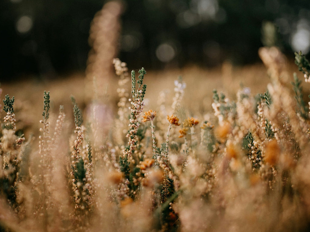 God Cares About Your Healing More Than You Do