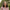 Bella Rol - Blessed Is She