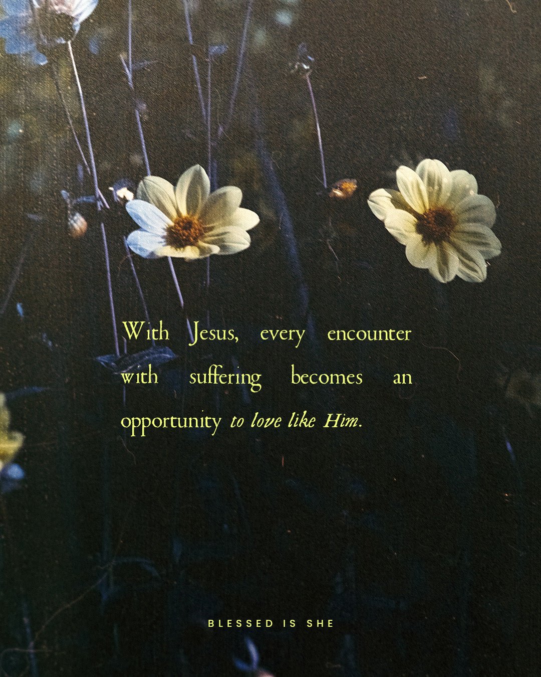 Better Not Bitter Blessed Is She