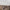 Come, Holy Spirit - Blessed Is She
