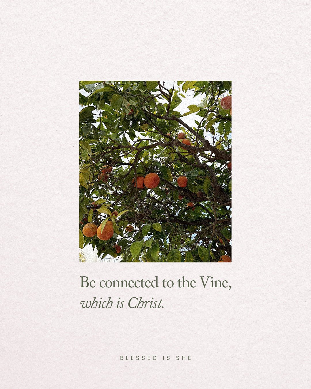 Connected To The Vine - Blessed Is She