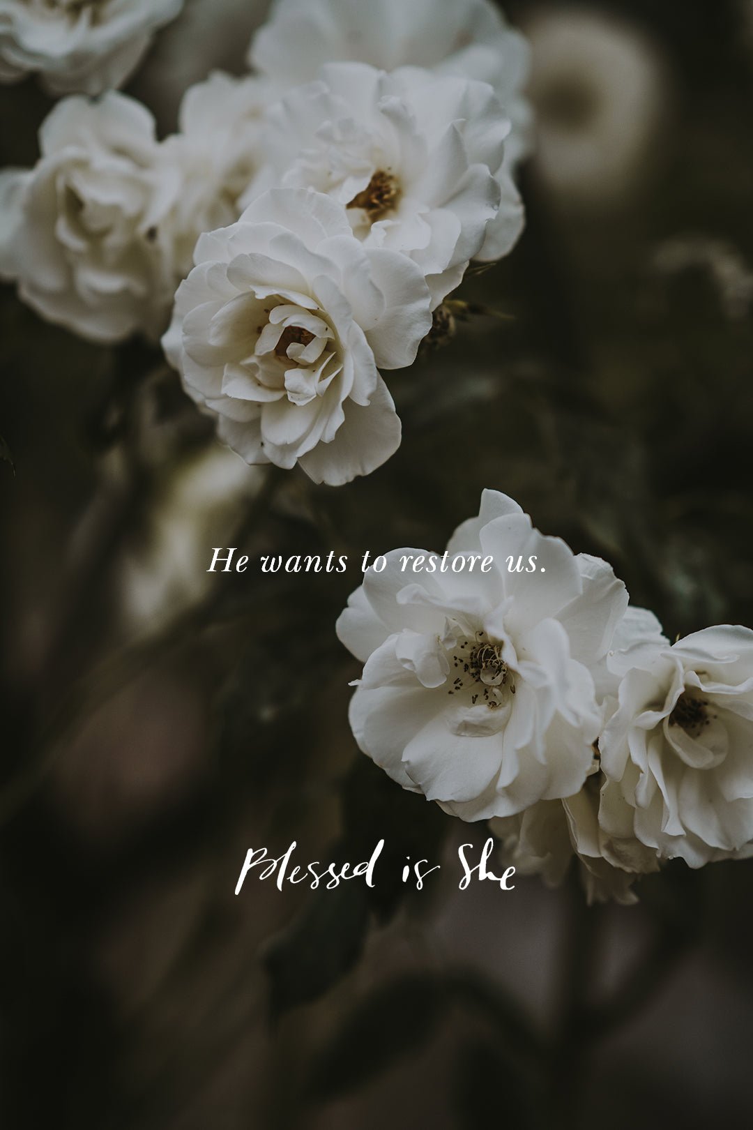 Forgiveness, Sin, and McDonald's Sundaes - Blessed Is She