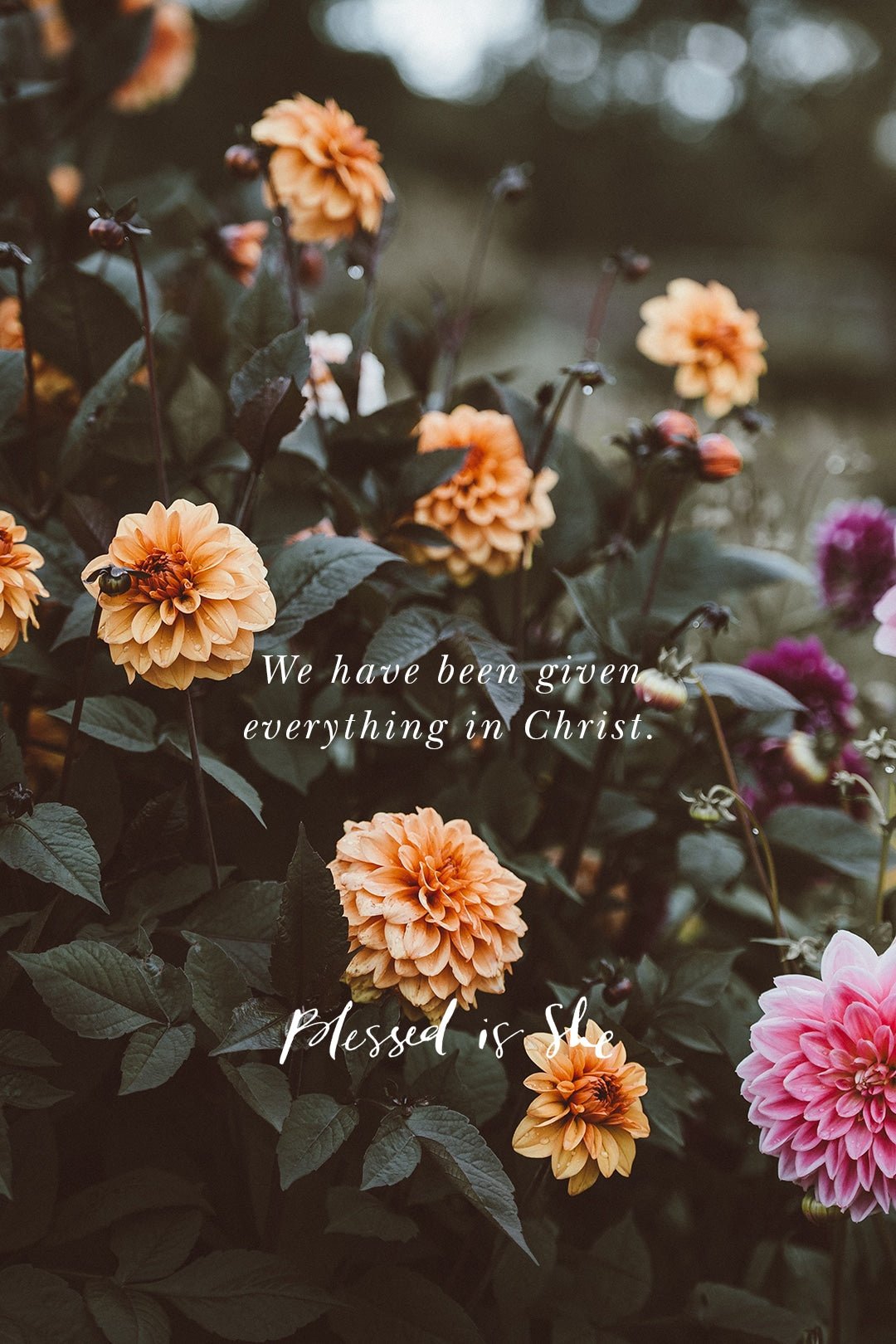 God Wants to Bring Us Home - Blessed Is She