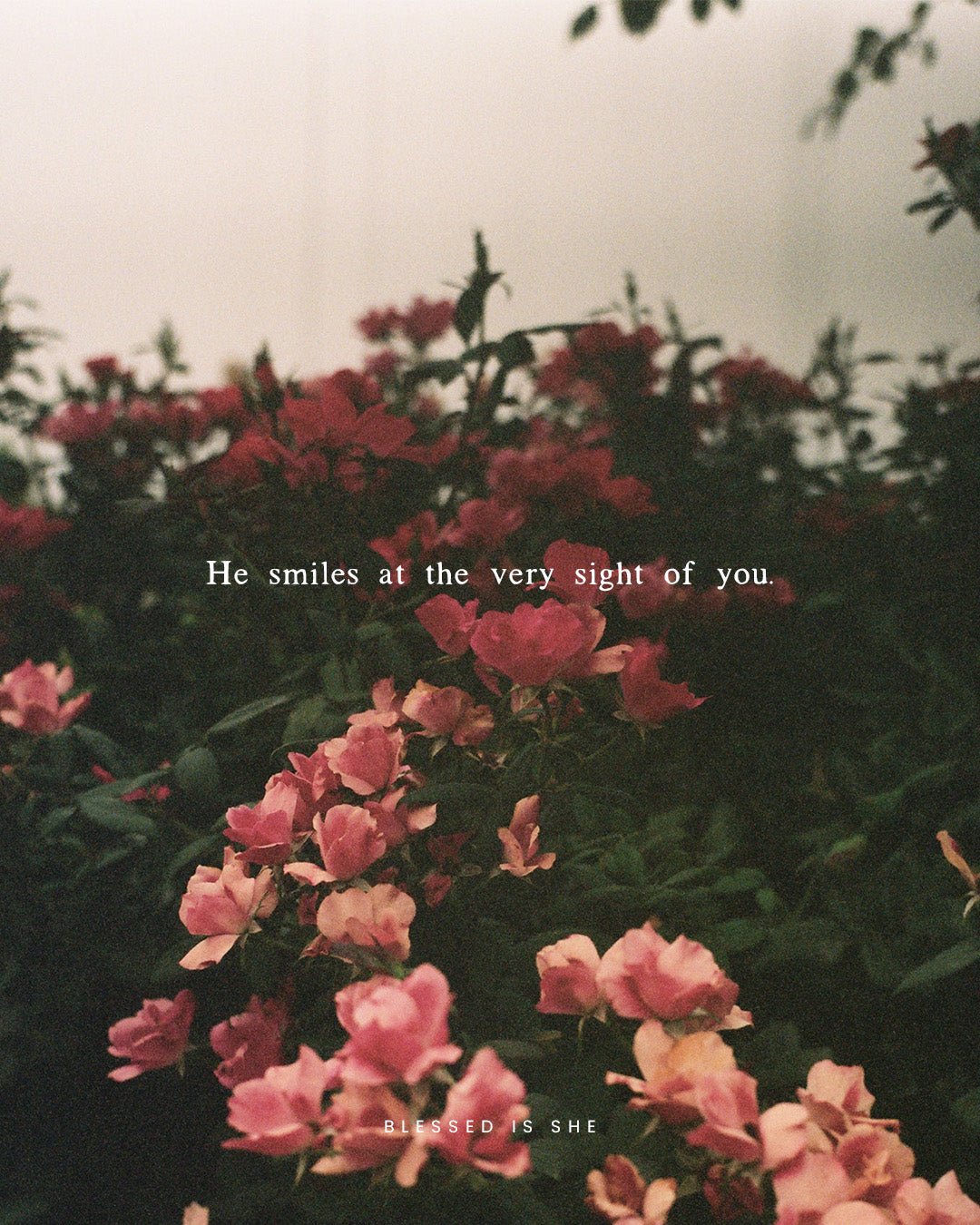 His Wide Smile for You - Blessed Is She