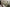 How (And Why) to Rejoice in Your Weakness - Blessed Is She