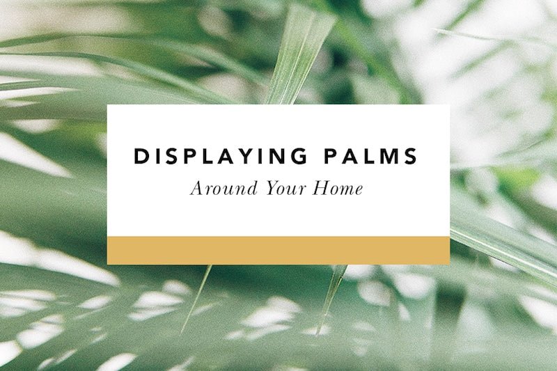 Ideas for Displaying Palm Sunday Palms Around Your Home - Blessed Is She