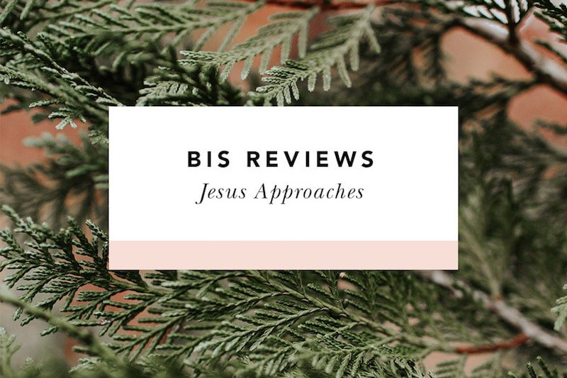 Jesus Approaches Review: Learning from Women in the New Testament - Blessed Is She