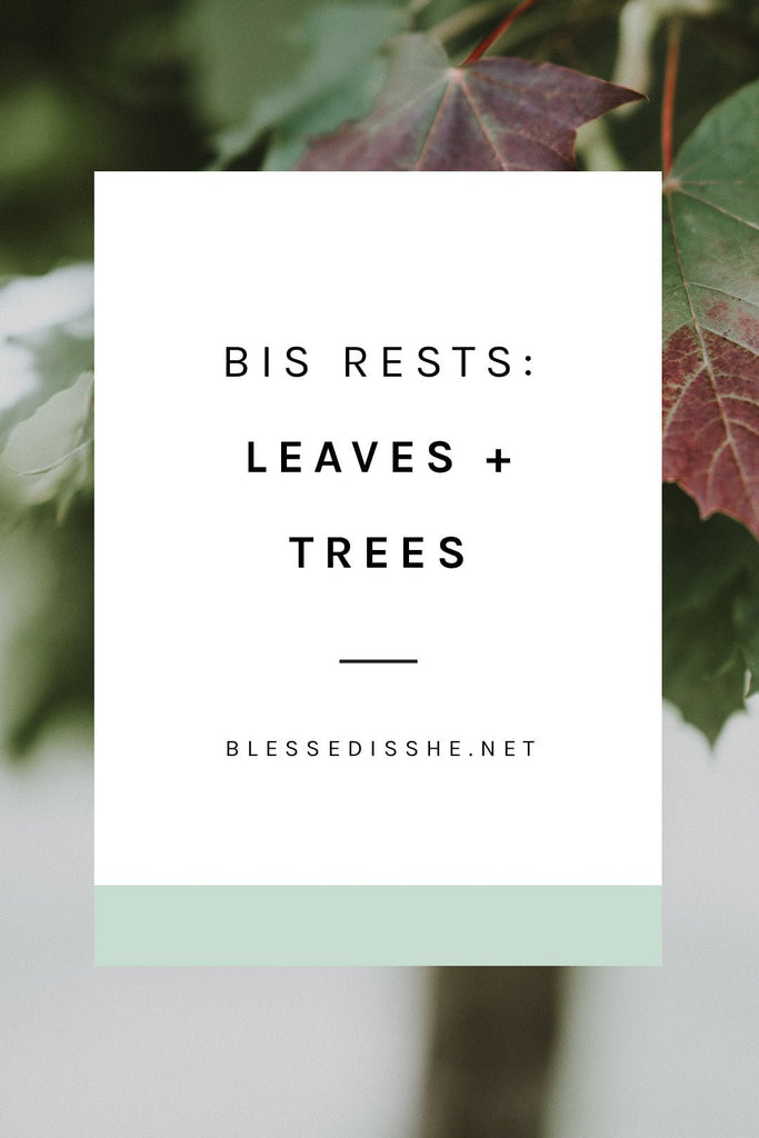 Leaves + Trees - Blessed Is She