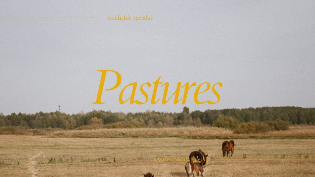 Pastures: A Series on Discipleship // teachable tuesday with Beth Davis YouTube cover