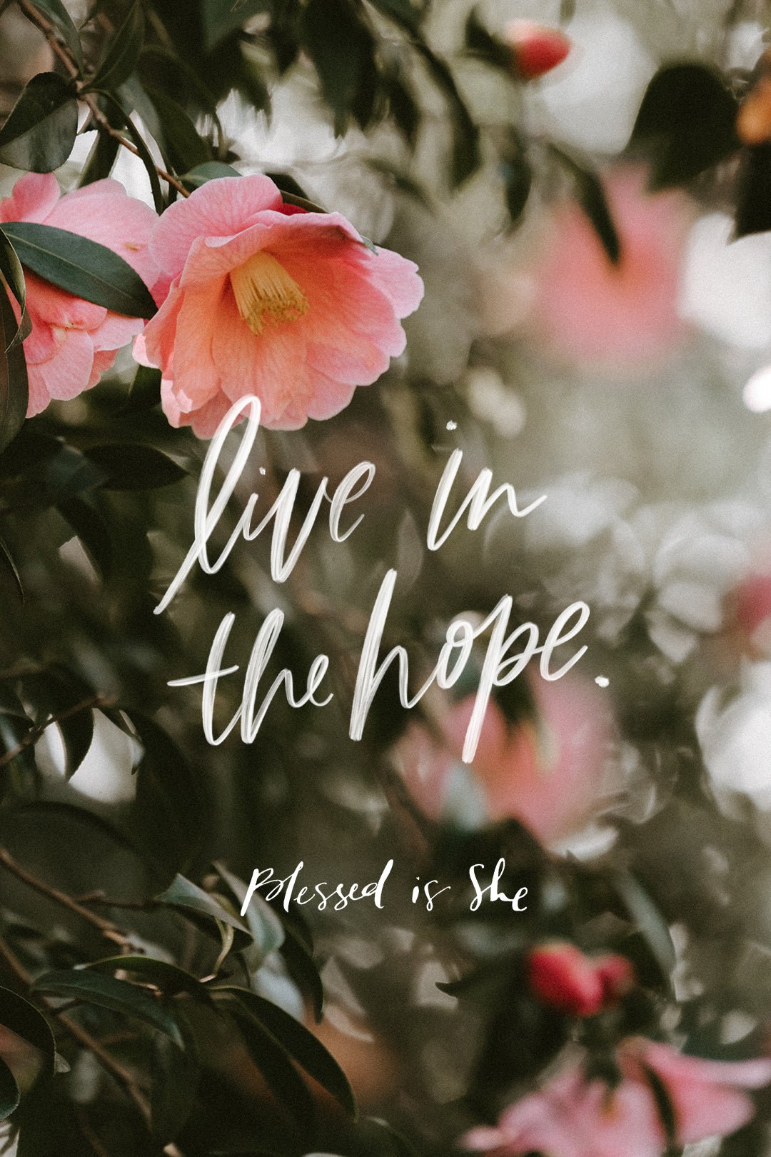 Obeying God and Living in Hope - Blessed Is She