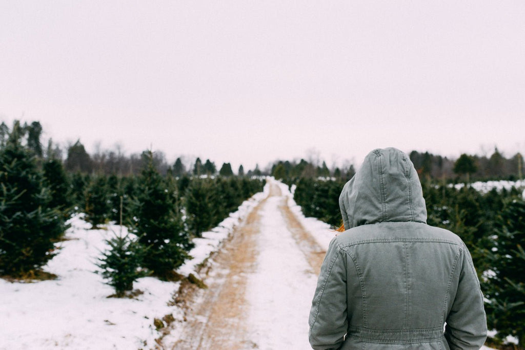 Scripture Verses to Pray When You Have the Winter Blues - Blessed Is She